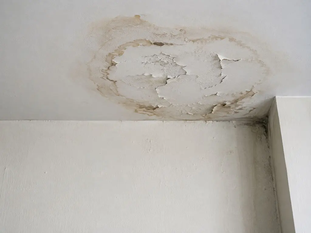 Auréole d'humidité localisée au plafond