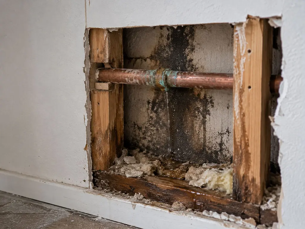 Fuite lente sur une canalisation encastrée dans une cloison