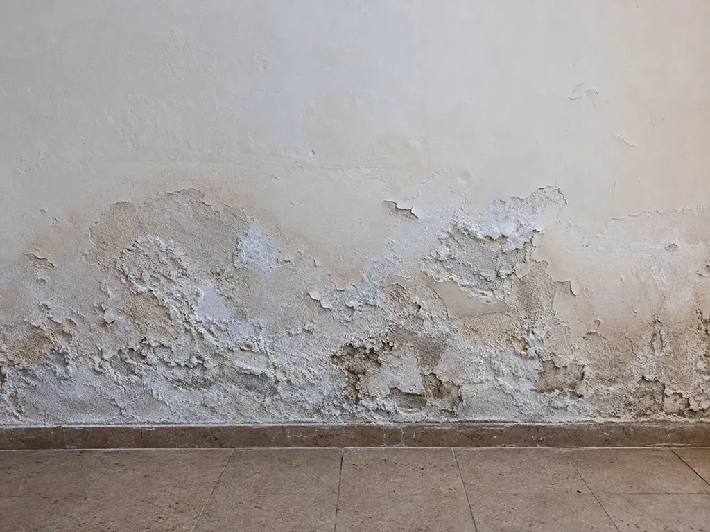 Remontées capillaires : salpêtre et enduit cloqué en bas de mur